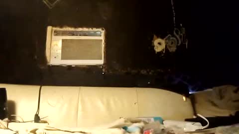 Kay online show from November 3, 11:50 pm