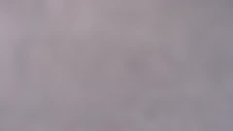 Aniki online show from April 14, 12:30 pm