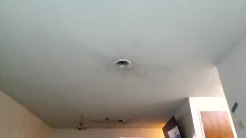 Dexter online show from March 30, 10:43 pm