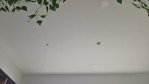 Sky-pure-Japanese online show from April 7, 5:42 am