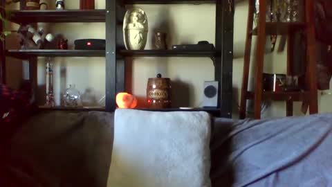 Snapshot of kenkuddles chatting on January 17, 10:12 pm Ken Kuddles online show from January 17, 10:12 pm