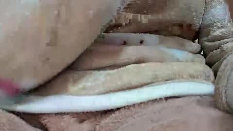 khushisinghh online show from January 22, 4:02 pm