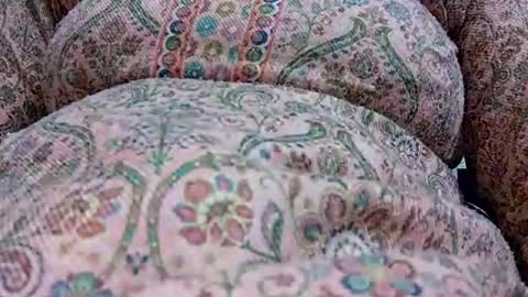 khushisinghh online show from January 24, 12:31 pm