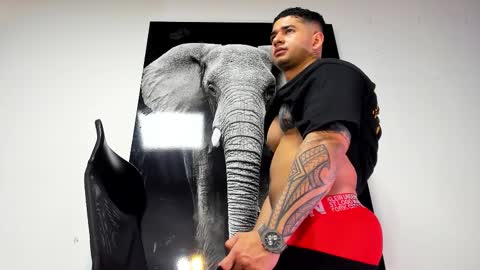 Angel Falconer online show from October 31, 3:29 am