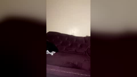 kingecstasyxxxddd online show from March 2, 8:37 pm