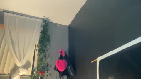 Bunniii online show from January 2, 11:41 am