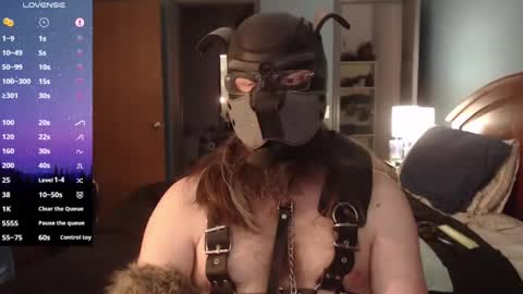 Snapshot of kinkywolf87 chatting on February 2, 9:56 pm kinkywolf87 online show from February 2, 9:56 pm