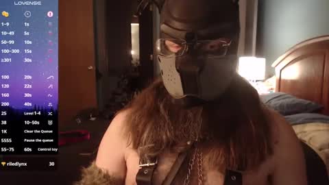 Snapshot of kinkywolf87 chatting on March 6, 8:41 am kinkywolf87 online show from March 6, 8:41 am
