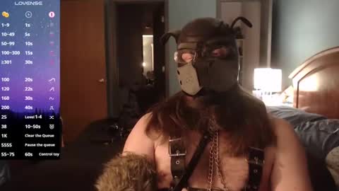 Snapshot of kinkywolf87 chatting on February 2, 8:24 am kinkywolf87 online show from February 2, 8:24 am