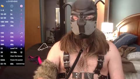 Snapshot of kinkywolf87 chatting on January 27, 8:49 pm kinkywolf87 online show from January 27, 8:49 pm