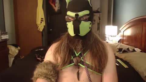 Snapshot of kinkywolf87 chatting on October 4, 4:38 pm kinkywolf87 online show from October 4, 4:38 pm