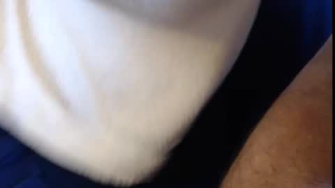 Konrad online show from March 6, 9:25 am