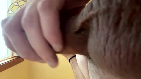 krazy_kums online show from October 17, 12:09 pm