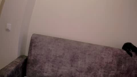 Snapshot of kristina_vagner chatting on October 14, 8:28 am kristina_vagner online show from October 14, 8:28 am
