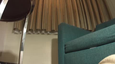 lacub online show from February 19, 7:17 am