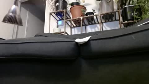 Rick online show from December 23, 4:33 am