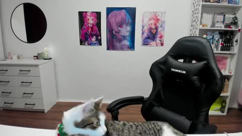 Kira online show from December 17, 6:31 pm