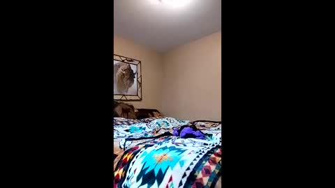 langederek2 online show from March 26, 8:58 pm