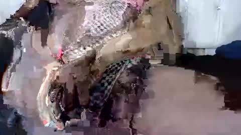 latoyyabed1 online show from February 27, 1:19 am