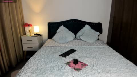 Snapshot of laurent_jones chatting on January 28, 11:06 am daniela angel online show from January 28, 11:06 am