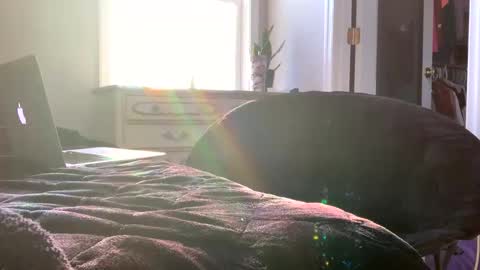 Laycee Layne online show from December 20, 8:38 pm