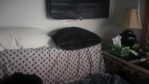 legitphorce online show from January 24, 4:48 am