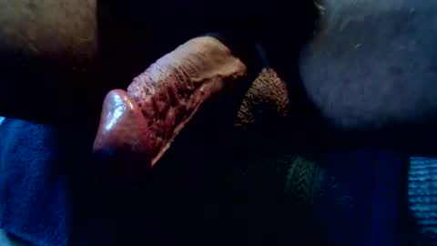 legofactory online show from February 15, 1:54 pm