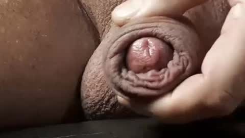 legofactory online show from February 13, 4:54 am