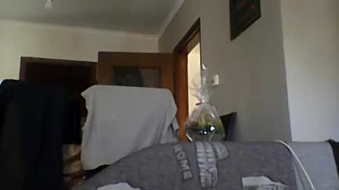 Snapshot of lelshop chatting on December 8, 9:57 am lelshop online show from December 8, 9:57 am