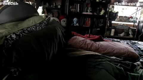 Lelu Fallas online show from January 5, 4:38 pm