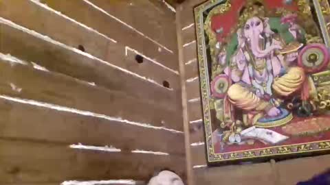 leskator9 online show from March 17, 1:43 am