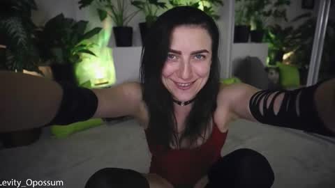 Levity online show from November 6, 11:08 pm