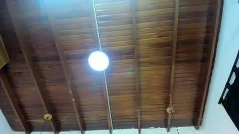 LevySteven online show from November 26, 7:05 am