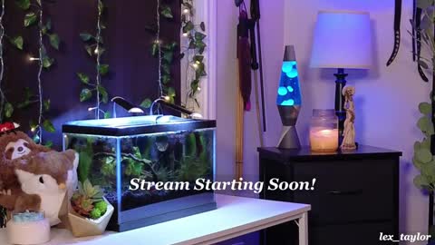 Lex online show from January 9, 3:04 am