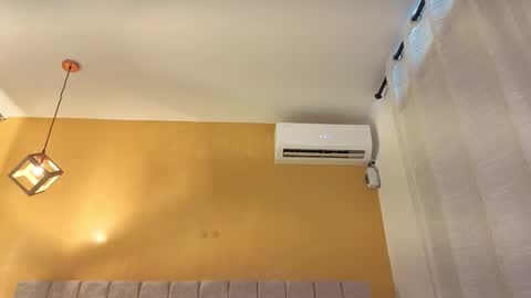  Lexy  online show from March 13, 1:36 pm