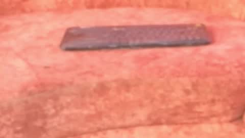 Leyla online show from March 7, 12:16 pm