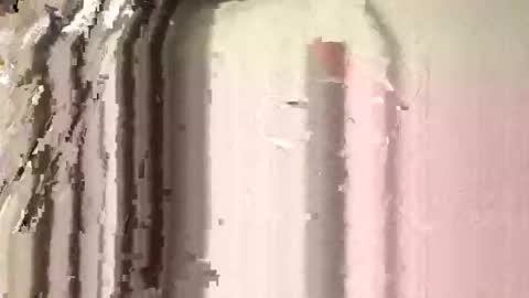 lildog361334 online show from February 28, 3:49 pm