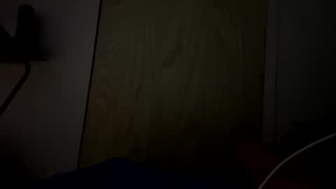 Snapshot of lildudeandme chatting on October 14, 8:06 am lildudeandme online show from October 14, 8:06 am