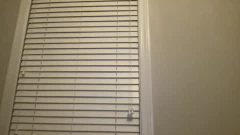 lilnasty100 online show from January 17, 12:53 am