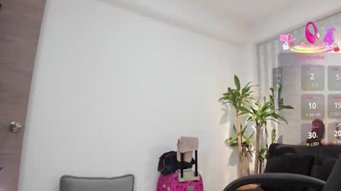 lily_cash1 online show from January 16, 3:21 pm