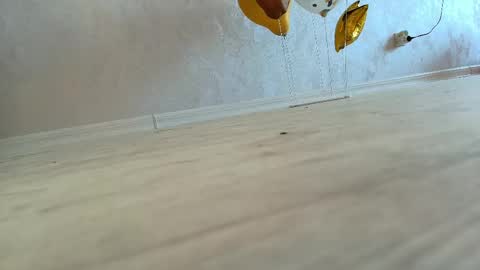Liora Weiss online show from May 9, 1:39 pm