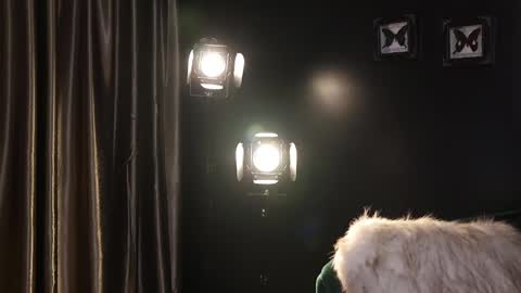 Snapshot of lireesa chatting on February 8, 4:36 am Lire online show from February 8, 4:36 am