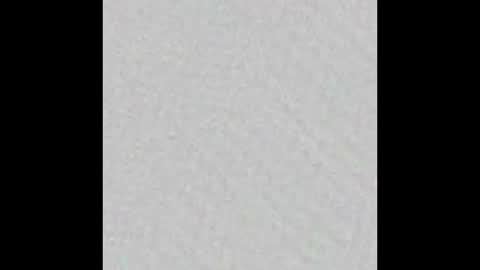 Zaydon and Lita Wolfe online show from February 22, 10:34 pm