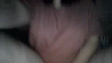 little_anef online show from January 12, 7:15 am