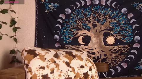 Sofia online show from December 8, 9:08 pm