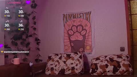 Sofia online show from February 22, 6:30 pm