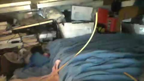 Snapshot of littlejay4773 chatting on October 4, 7:17 am littlejay             littlejay online show from October 4, 7:17 am