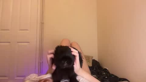 Snapshot of lizzyylovesick chatting on September 18, 7:40 pm lizzybunny online show from September 18, 7:40 pm