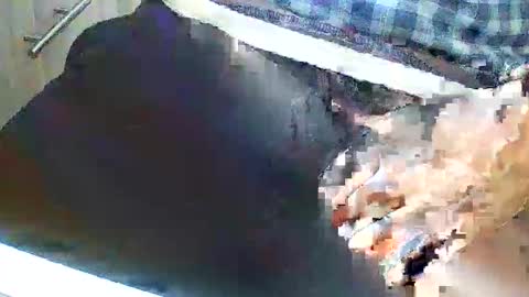 loboxavi online show from November 6, 2:42 pm