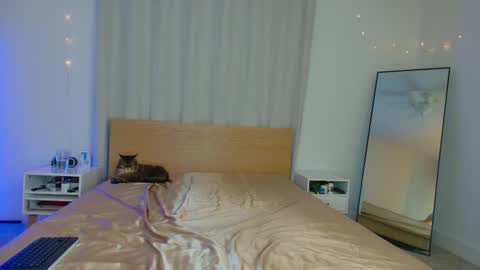 lolo 3 online show from March 2, 3:56 am